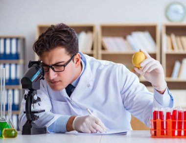 Bilim adamı organik meyve ve sebzeler üzerinde çalışıyor.