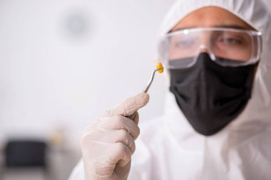 Genç erkek kimyager uyuşturucu sentezi konsepti