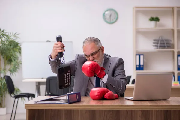 職場でボクシンググローブを身に着けている古いビジネスマンの従業員 — ストック写真