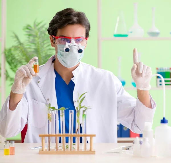 Joven biotecnólogo químico trabajando en laboratorio —  Fotos de Stock