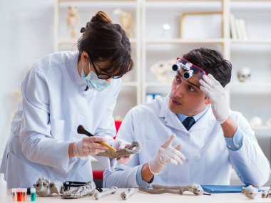 Profesör laboratuvarda insan iskeletini inceliyor.