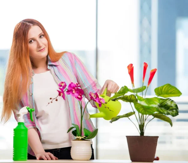 Рыжая женщина ухаживает за растениями дома — стоковое фото