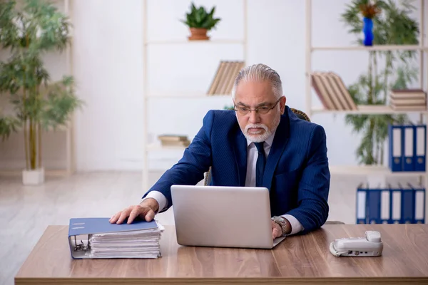 Oude mannelijke werknemer die op kantoor werkt — Stockfoto