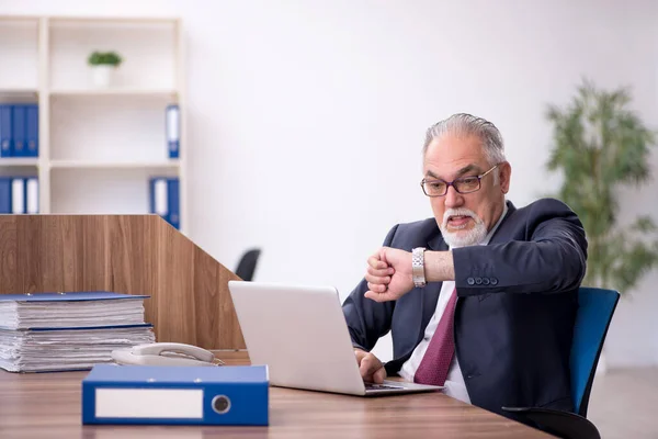 Velho empregado masculino e muito trabalho no escritório — Fotografia de Stock