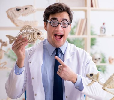 Komik çılgın profesör hayvan iskeletlerini inceliyor.