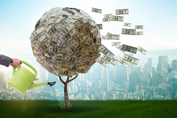 Empresario con árbol de dinero en concepto de negocio — Foto de Stock