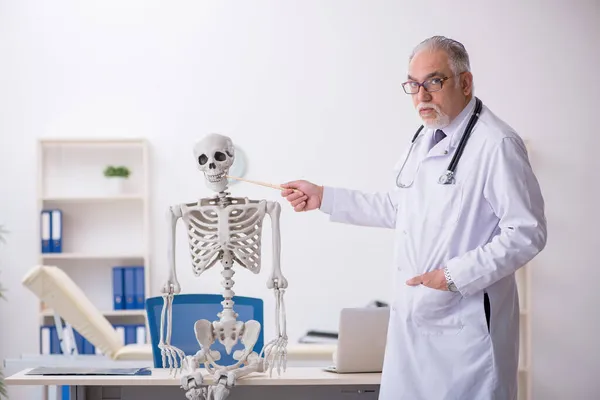 Oude mannelijke dokter die menselijk skelet demonstreert — Stockfoto