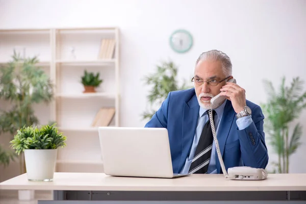 Åldrad affärsman anställd som arbetar på arbetsplatsen — Stockfoto