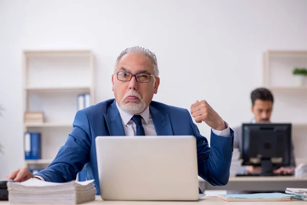 Dos colegas varones que trabajan en la oficina —  Fotos de Stock