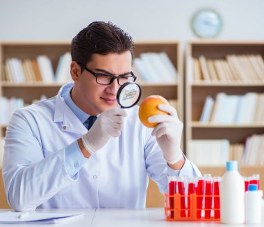 Bilim adamı organik meyve ve sebzeler üzerinde çalışıyor.