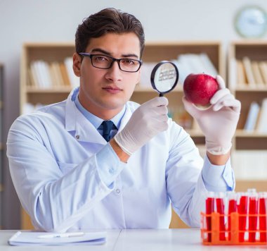 Bilim adamı organik meyve ve sebzeler üzerinde çalışıyor.