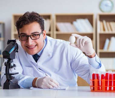 Bilim adamı organik meyve ve sebzeler üzerinde çalışıyor.