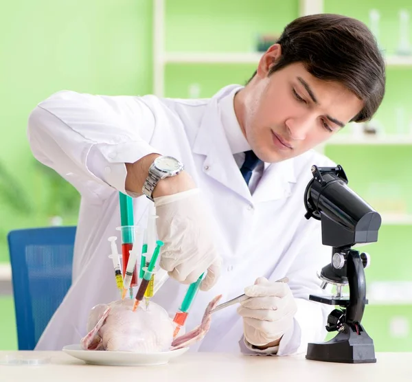 Assistente di laboratorio al test del pollo OGM — Foto Stock