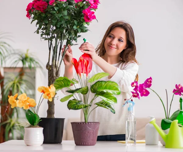 Молодая женщина ухаживает за растениями дома — стоковое фото