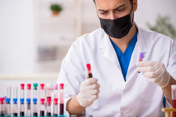 Молодой биохимик испытывает образцы крови в пандемической концепции — стоковое фото