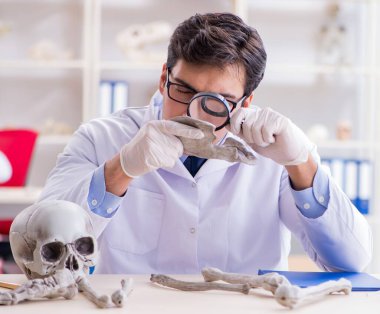 Profesör laboratuvarda insan iskeletini inceliyor.