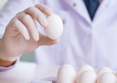 Besin uzmanı gıda ürünlerini laboratuarda test ediyor.