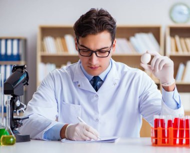 Bilim adamı organik meyve ve sebzeler üzerinde çalışıyor.