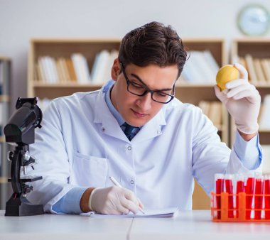 Bilim adamı organik meyve ve sebzeler üzerinde çalışıyor.