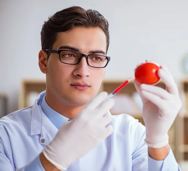 Ученый, работающий над органическими фруктами и овощами — стоковое фото