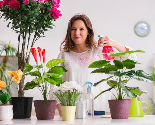 Молодая женщина ухаживает за растениями дома — стоковое фото