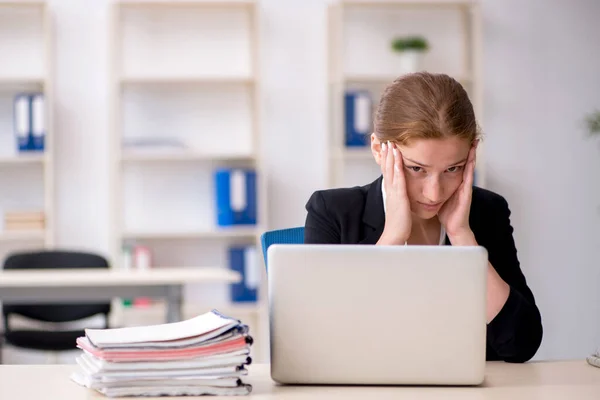 Young female employee working in the office — Stock Photo, Image