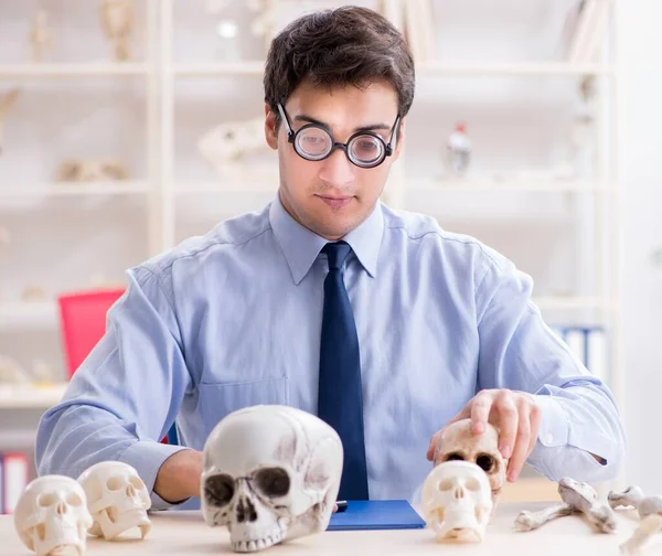 Drôle fou professeur étudiant squelette humain — Photo