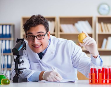 Bilim adamı organik meyve ve sebzeler üzerinde çalışıyor.