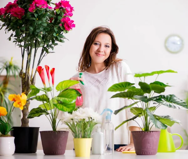 Jeune femme s'occupant des plantes à la maison — Photo