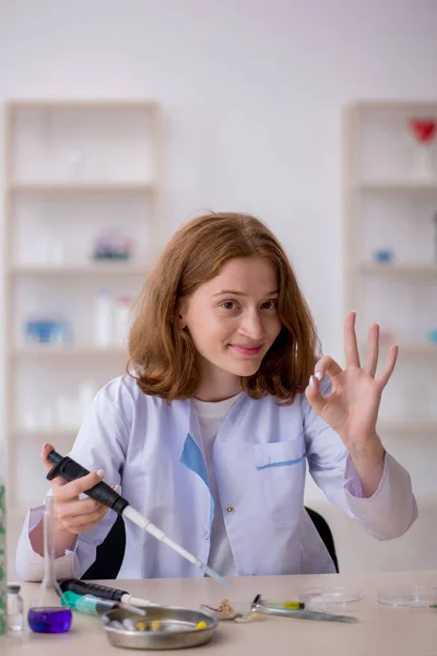 Jovem química do sexo feminino que trabalha no laboratório — Fotografia de Stock