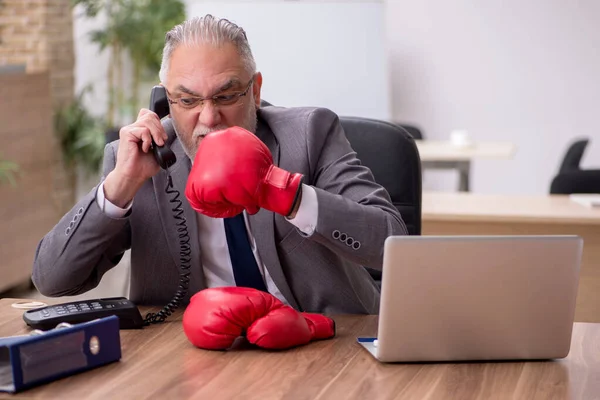 Viejo empleado de negocios con guantes de boxeo en el lugar de trabajo —  Fotos de Stock