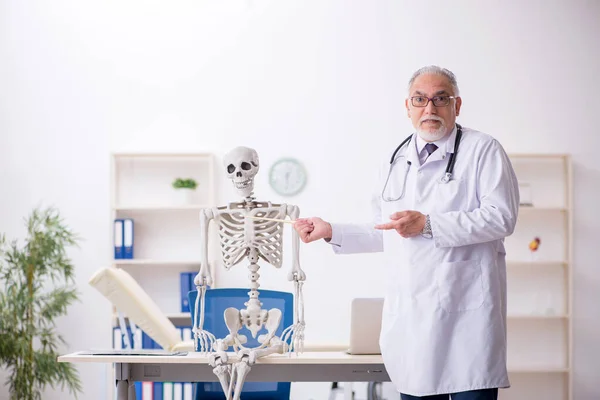 Oude mannelijke dokter die menselijk skelet demonstreert — Stockfoto