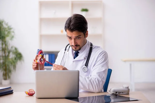 Jonge mannelijke cardioloog werkzaam in de kliniek — Stockfoto