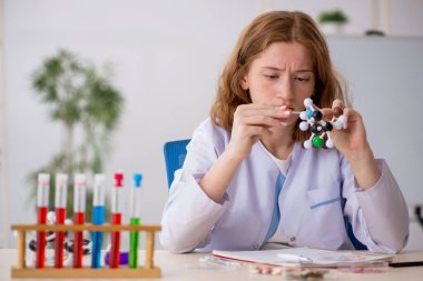 Genç bayan kimyacı öğrenci moleküler model üzerinde çalışıyor.