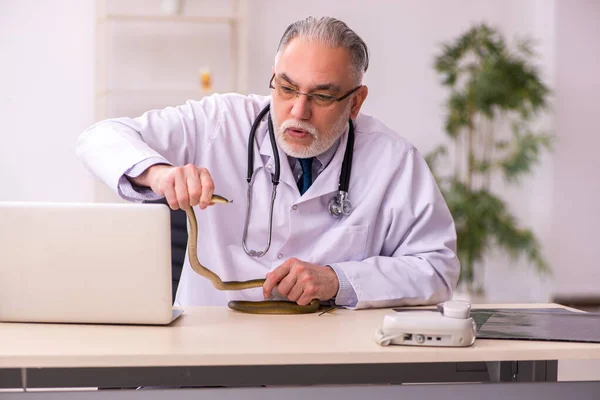 Åldrad manlig läkare som håller orm på kliniken — Stockfoto