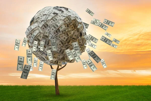 Árbol de dinero en el concepto de negocio - 3d renderizado — Foto de Stock