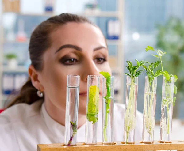 A química cientista biotecnológica feminina que trabalha no laboratório — Fotografia de Stock