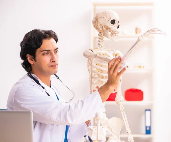 The young male doctor with skeleton — Stock Photo, Image