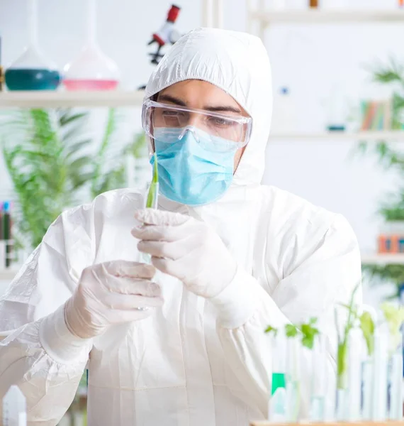 Bioquímico masculino trabalhando no laboratório em plantas — Fotografia de Stock