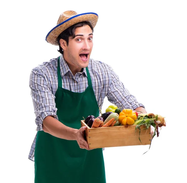 Le jeune agriculteur avec des produits frais isolés sur fond blanc — Photo