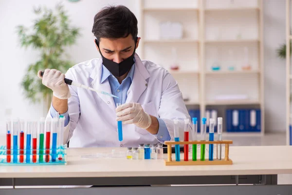 Giovane chimico maschile che lavora in laboratorio durante la pandemia — Foto Stock
