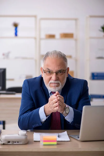 Old male employee working in the office — Stock Photo, Image