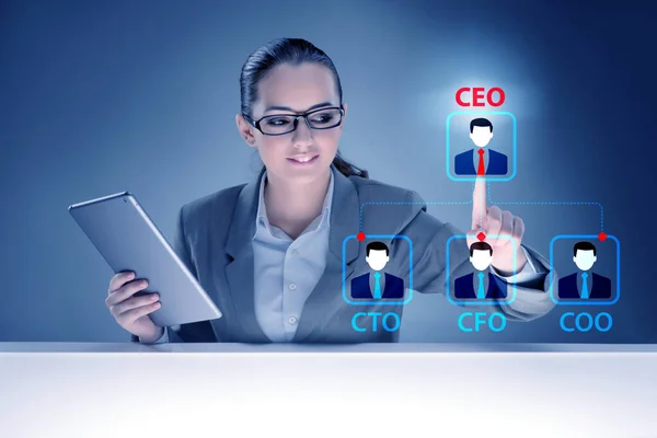 Businesswoman in the organisation chart concept — Stock Photo, Image