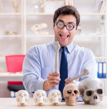 Komik çılgın profesör insan iskeletini inceliyor.