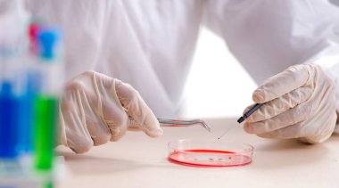 Laboratuvarda çalışan genç yakışıklı kimyager.