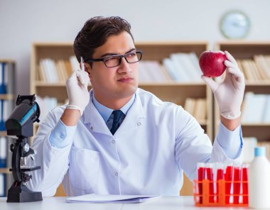 Bilim adamı organik meyve ve sebzeler üzerinde çalışıyor.