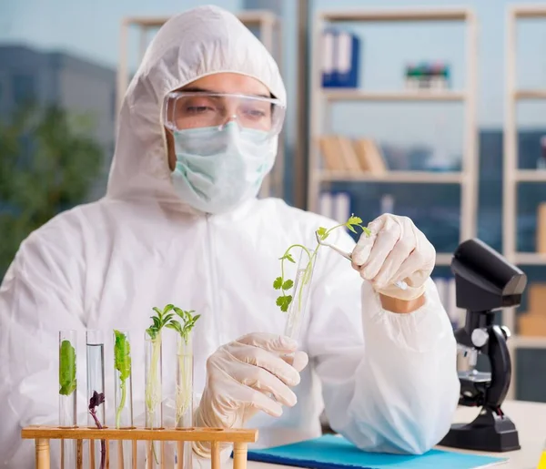 El científico químico de biotecnología masculino que trabaja en el laboratorio —  Fotos de Stock