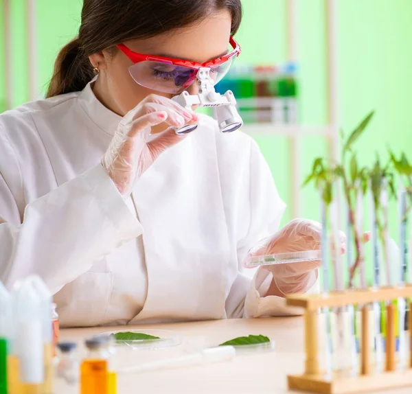 Bela mulher biotecnologia cientista químico trabalhando em laboratório — Fotografia de Stock