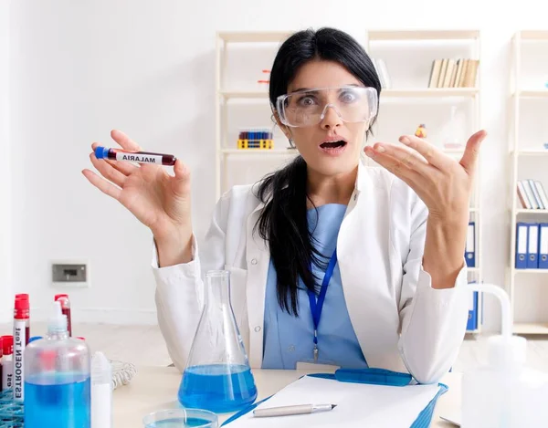 La química femenina que trabaja en el laboratorio —  Fotos de Stock