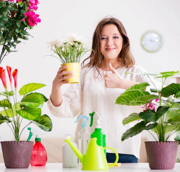 Junge Frau kümmert sich zu Hause um Pflanzen — Stockfoto